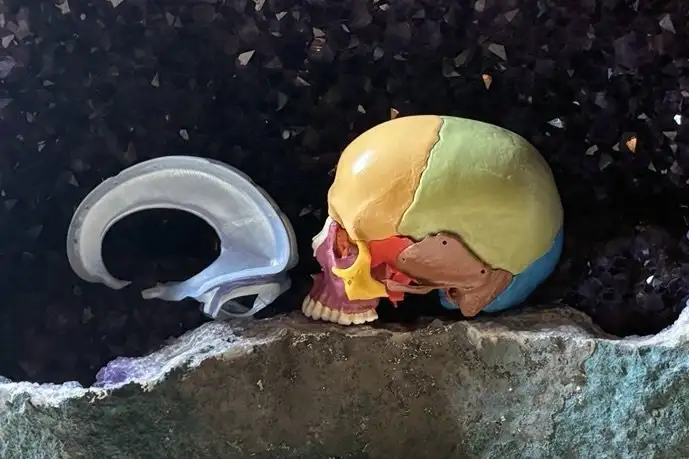 CST skull model